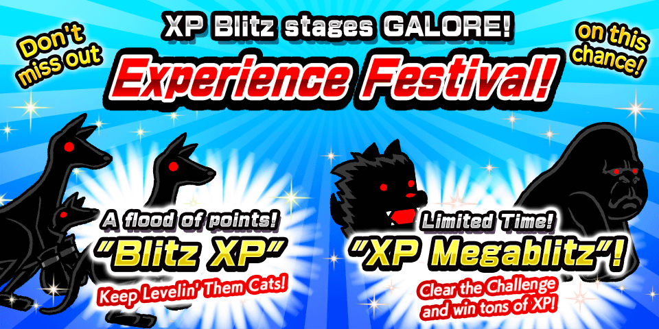 XP Festival