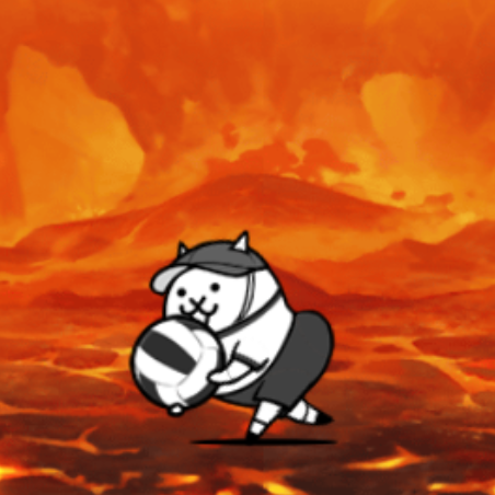 Dodgeballer Cat