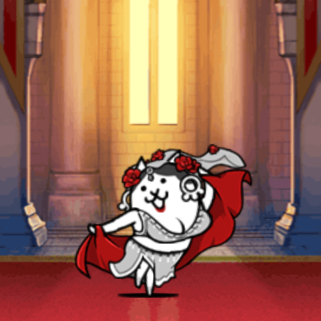 Bellydance Cat