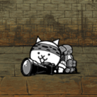 Cameraman Cat