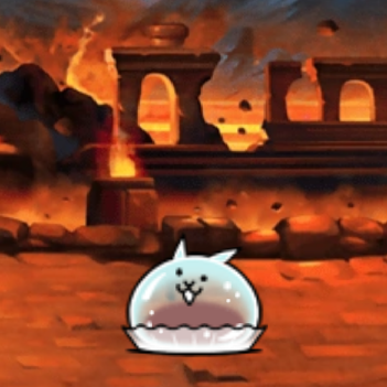 Jelly Dumpling Cat