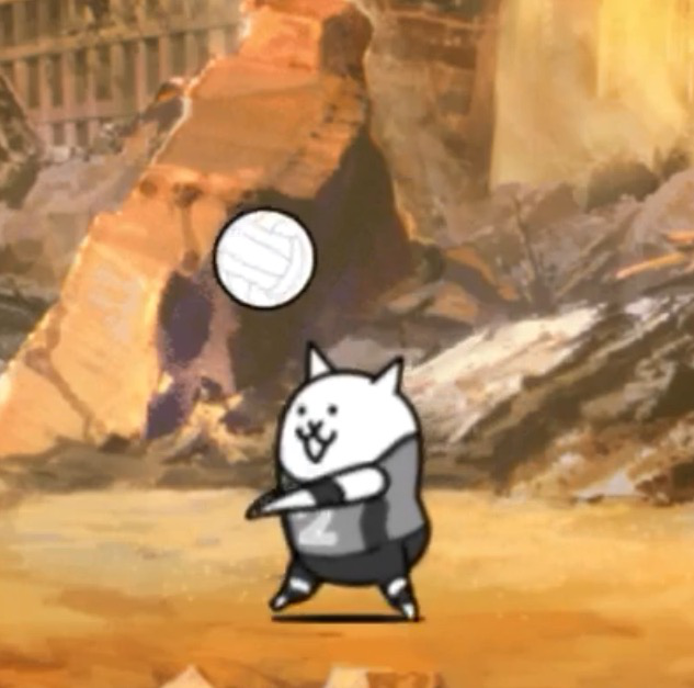 Volley Cat