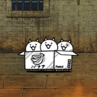 Cats in a Box