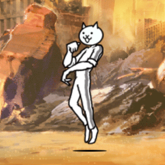 Kung Fu Cat