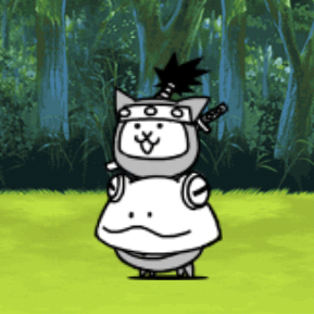Ninja Frog Cat