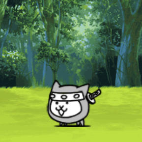 Ninja Cat