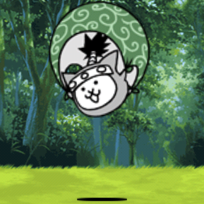 Flying Ninja Cat