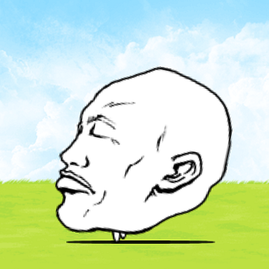 Face Cat