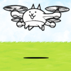 Drone Cat