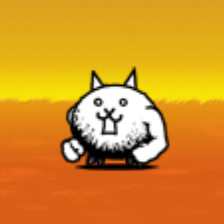 Crazed Macho Cat