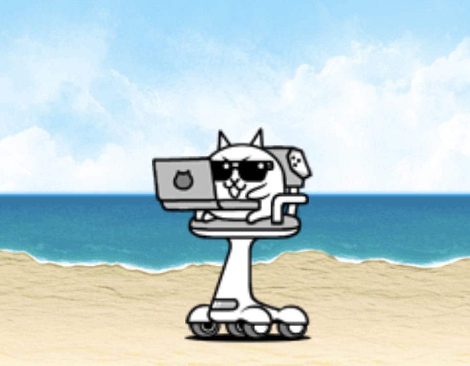 Hacker Cat