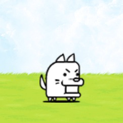Doge