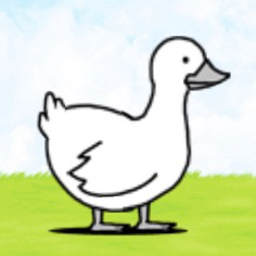 Duche