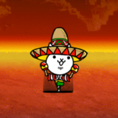 Gato Amigo