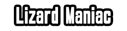 Lizard Maniac